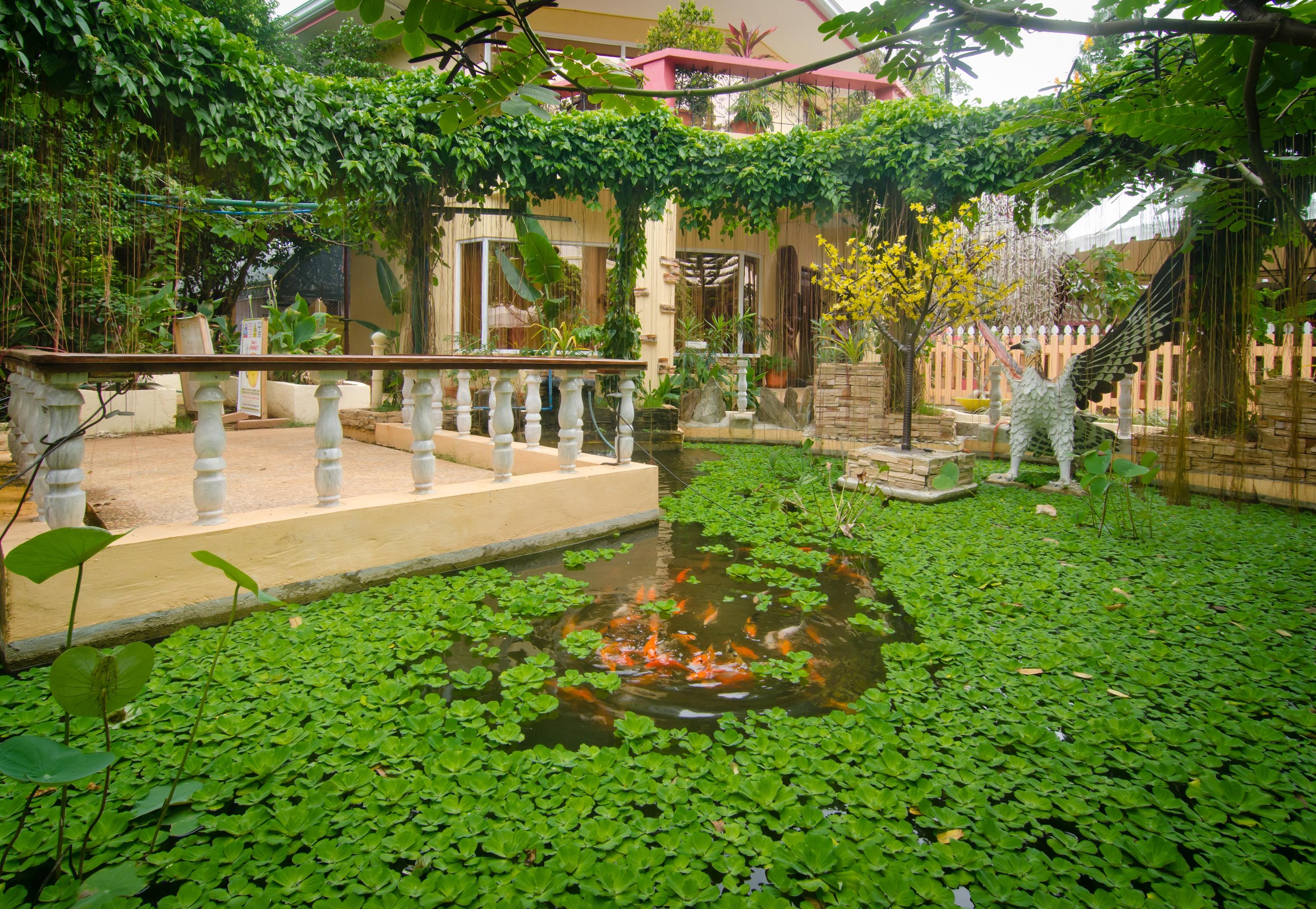 Deep Forest Garden Hotel Puerto Princesa Bagian luar foto